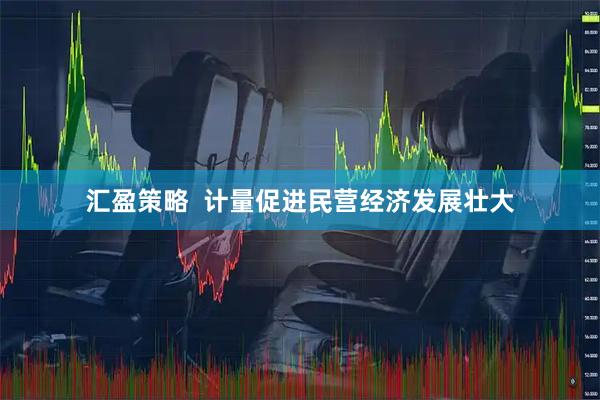 汇盈策略  计量促进民营经济发展壮大