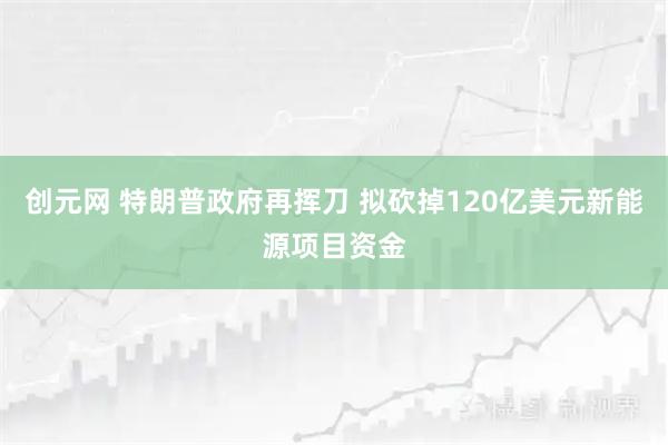 创元网 特朗普政府再挥刀 拟砍掉120亿美元新能源项目资金
