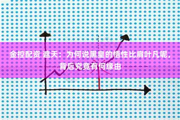 金控配资 遮天：为何说黑皇的悟性比肩叶凡呢，背后究竟有何缘由
