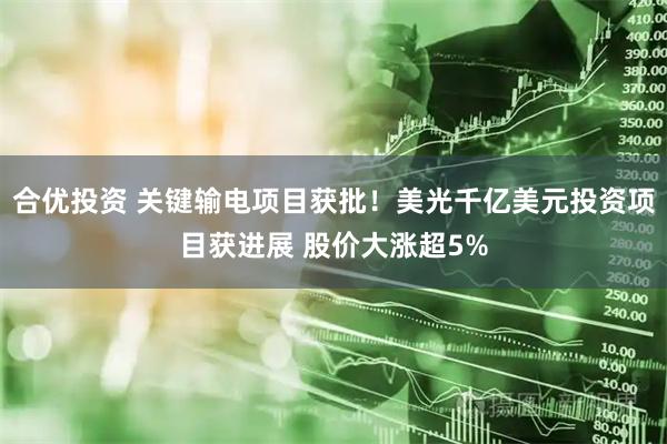 合优投资 关键输电项目获批！美光千亿美元投资项目获进展 股价大涨超5%