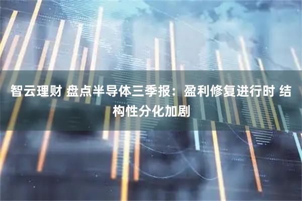 智云理财 盘点半导体三季报：盈利修复进行时 结构性分化加剧