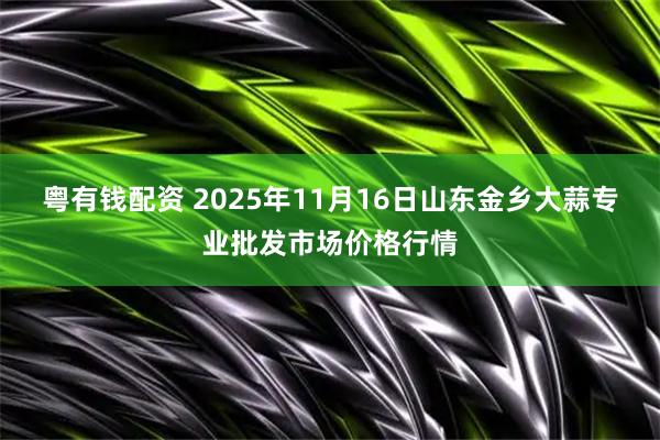 粤有钱配资 2025年11月16日山东金乡大蒜专业批发市场价格行情