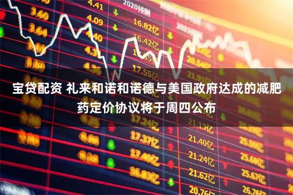 宝贷配资 礼来和诺和诺德与美国政府达成的减肥药定价协议将于周四公布